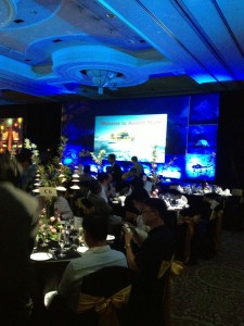 IMG_0901_copy